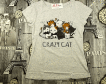 Дамска тениска CRAZY CAT-20009- сива